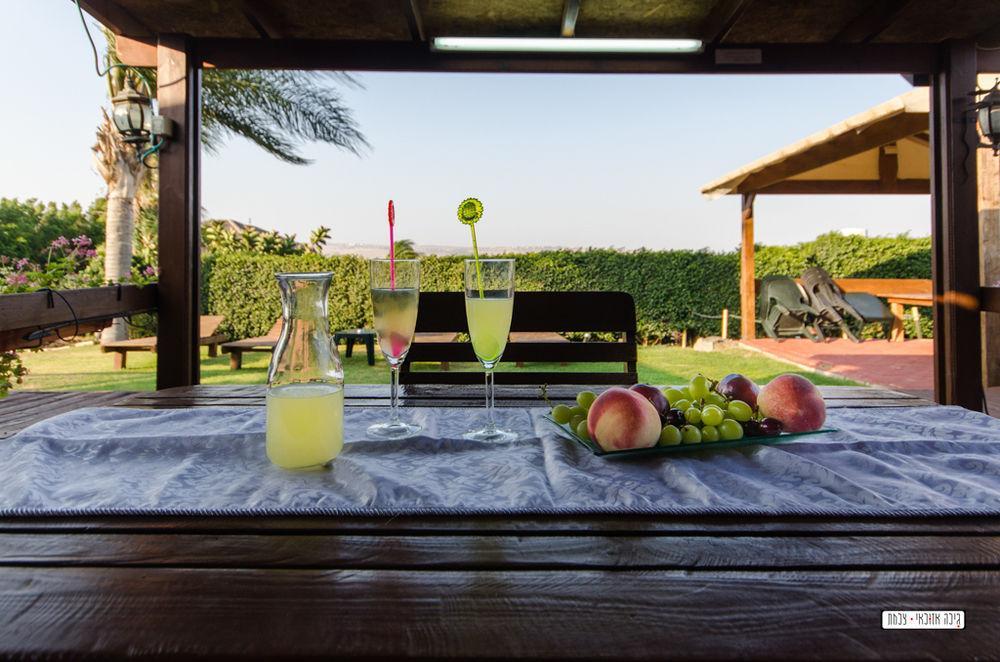 Avigail Guest House Yavneʼel Extérieur photo